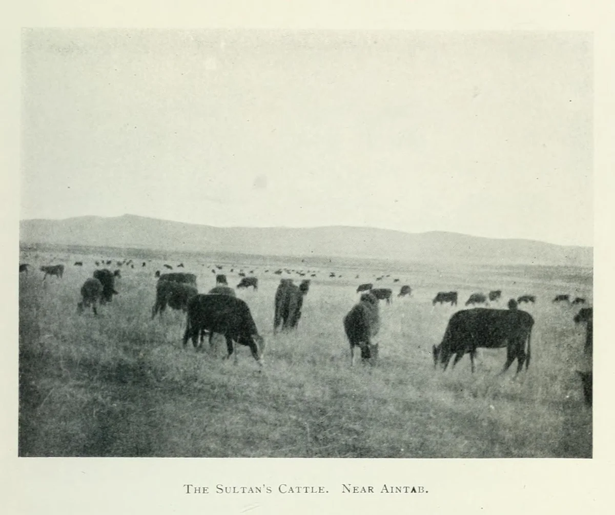 Antep Yakınlarında Osmanlı Çiftliği