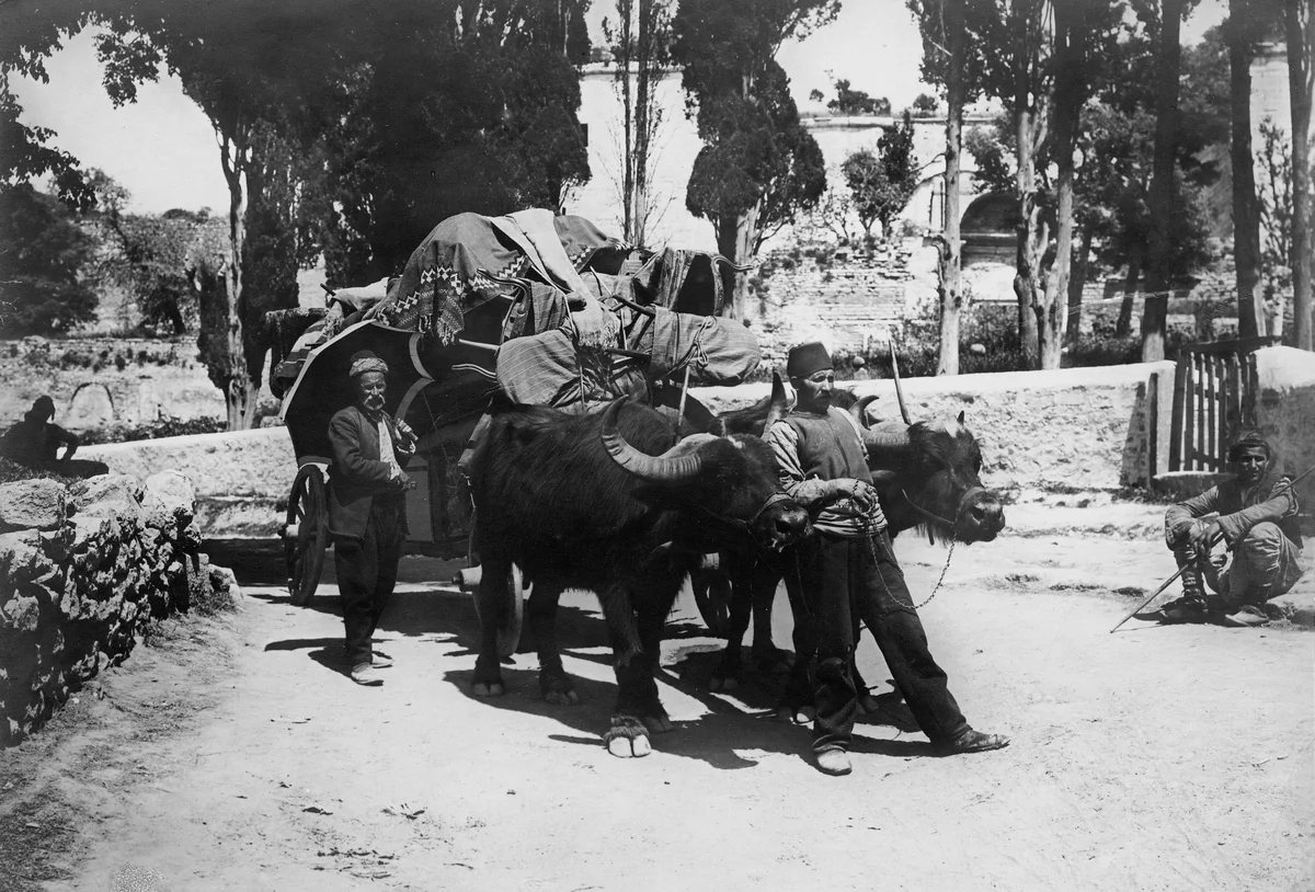 Chariot Turc. Constantinople Yedikulede sur dışı manda arabaları-2