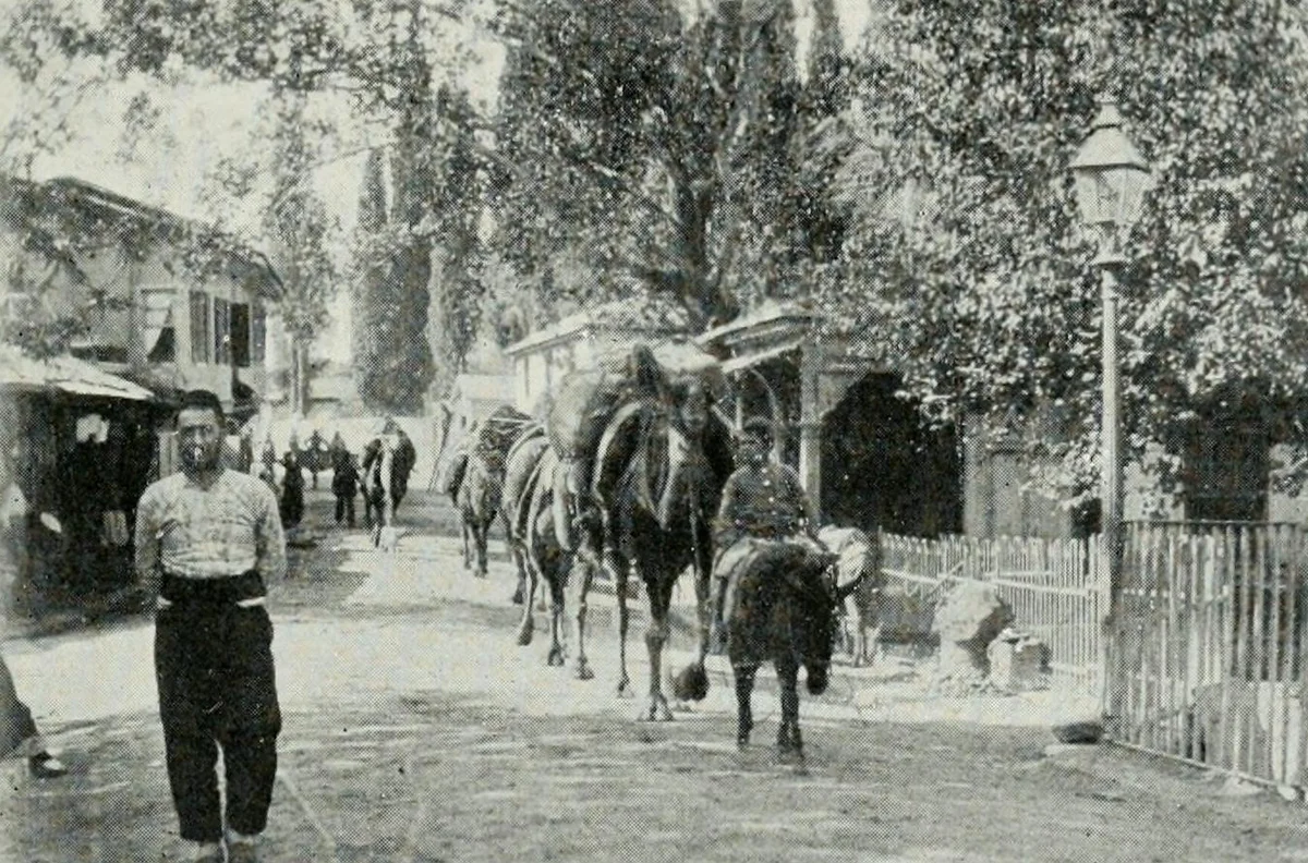 Osmanlı Dönemi İzmir