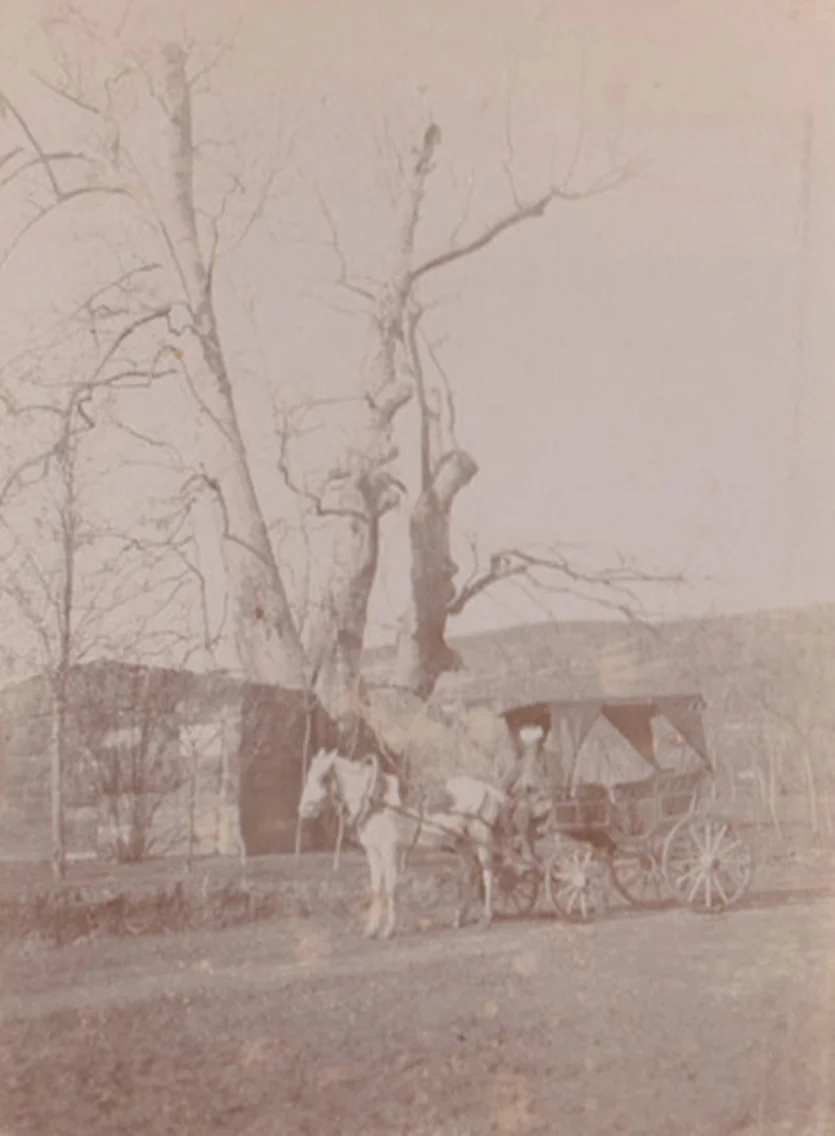 İstanbul'da Fayton, 1907