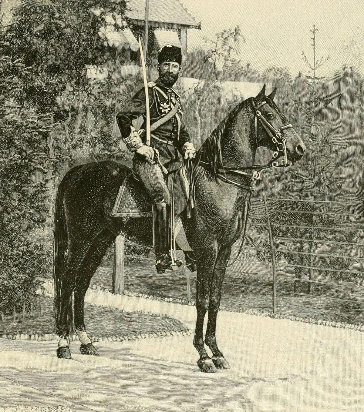 Bir Osmanlı Süvari Subayı, 1890'lar