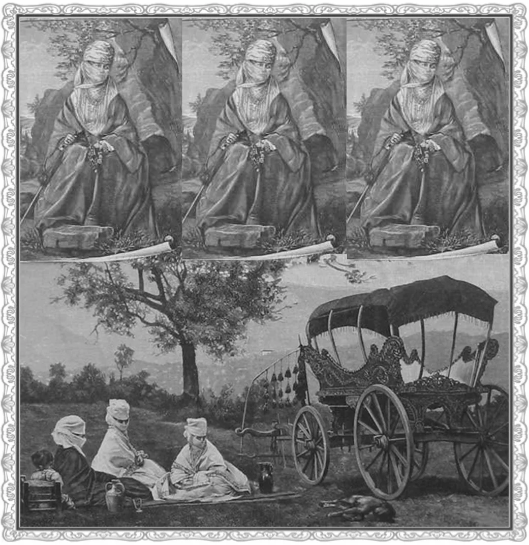 Osmanlı Kadınları, 1870'ler