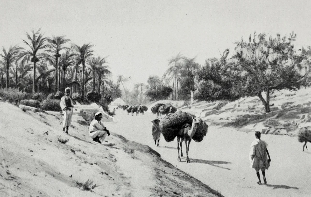 Osmanlı Dönemi Trablusgarp, Libya