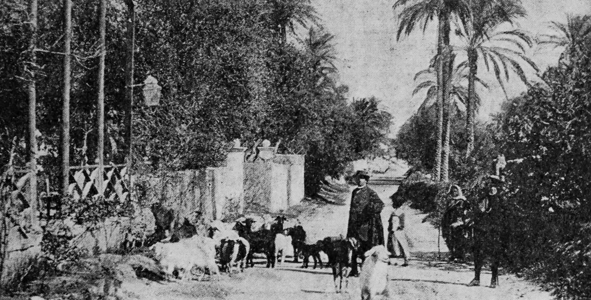 Osmanlı Dönemi Trablus, Libya, 1900'ler