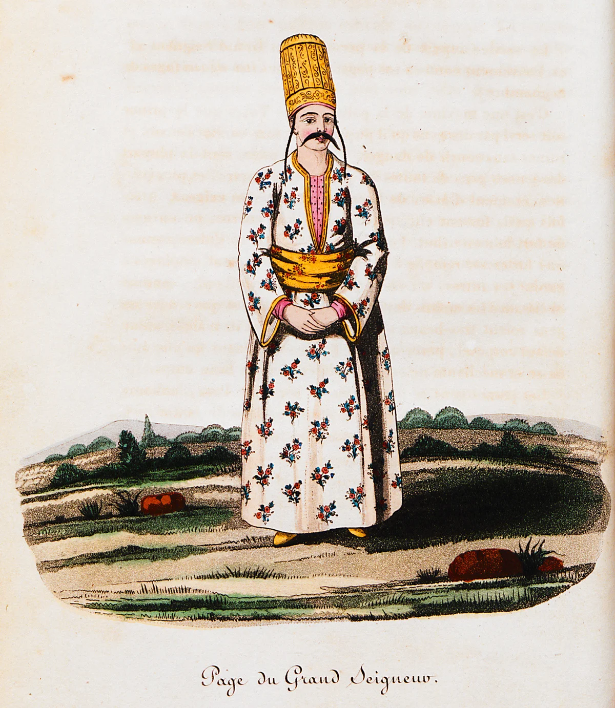 Sultanın Hizmetçileri (2)