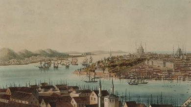 Istanbul, 19th Century
Love history? Become one of our patrons by pledging $1/mo...