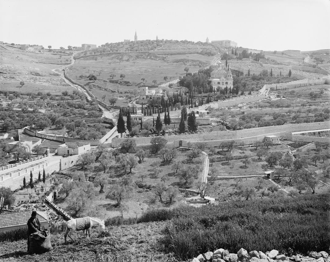 Jerusalem, Palestine, 1900s
Kudüs, Filistin, 1900'ler
...