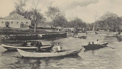 Istanbul, 1900s

                            ...
