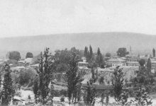 1900s

                    ...