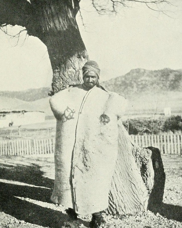 A Yörük Shepherd in Anatolia, 1900
Anadolu'da Bir Yörük Çoban, 1900
...