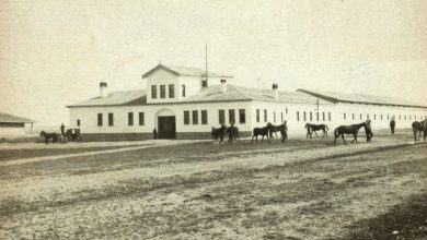 An Imperial Horse Farm, c1900
Bir Osmanlı At Çiftliği, 1900c

                  ...