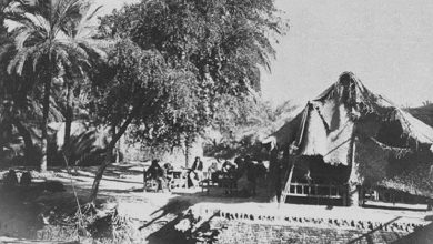 An Ottoman coffeehouse in Abu Al-Khaseeb, Vilâyet-i Basra (Iraq), March, 1917. 
...