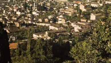 Bursa, 1913

                            ...