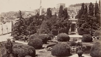 Dolmabahçe Sarayı Bahçesi Guillaume Berggren