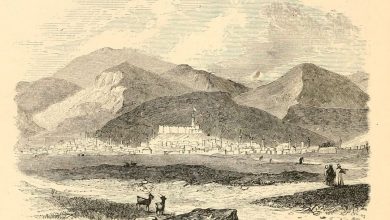 Erzurum, 19th Century

                     ...