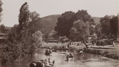Göksu Guillaume Berggren fotoğrafı