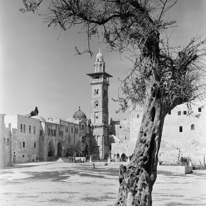 Jerusalem, Palestine, 1900s
Kudüs, Filistin, 1900'ler
...