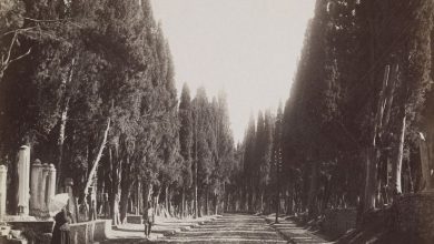 Karacaahmet Mezarlığı / Sébah ve Joaillier Fotoğrafı / 1890'lar | Eski...
