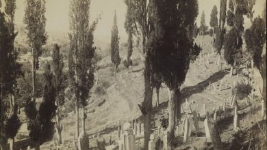 Mezarlık, Eyüp / Sébah ve Joaillier Fotoğrafı | Eski İstanbul Fotoğraflar...