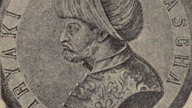 Tiryaki Hasan Paşa