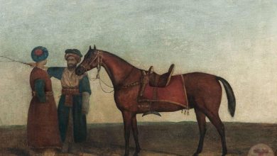 Bir Osmanlı Seyisi