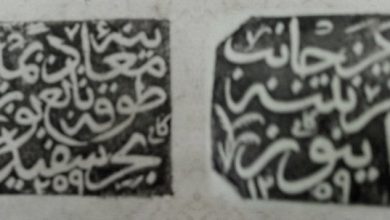 Quarantine Seals Stamped to Passports of Foreigners with Infectious Disease, 184...