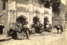 Sakalar /  Sébah&Joaillier fotoğrafı