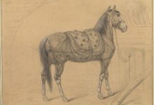 The Horse was Sent as a Gift from Istanbul to Napoleon Bonaparte, Emperor of Fra...