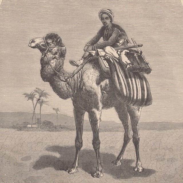 Traveling with Camel in Libya,19th Century
Deve ile Seyahat, Libya, 19. Yüzyıl
...