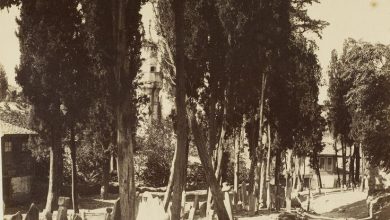 Türk Mezarlığı / Sébah ve Joaillier Fotoğrafı | Eski İstanbul Fotoğrafl...